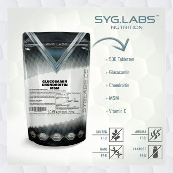 Glucosamin Chondroitin MSM - 500 Tabletten